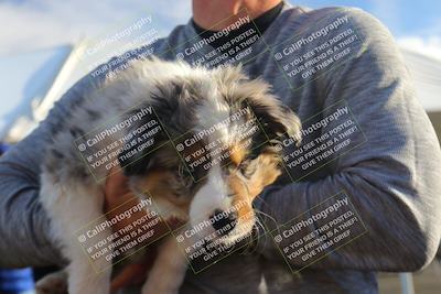 media/Feb-24-2023-Apex Assassins (Fri) [[1dfdb28110]]/Around the Pits/